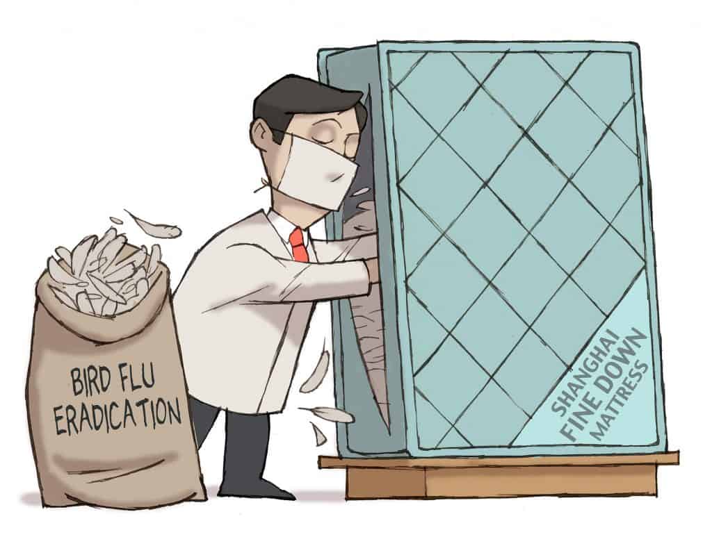 Buyer Beware Makin Mattresses